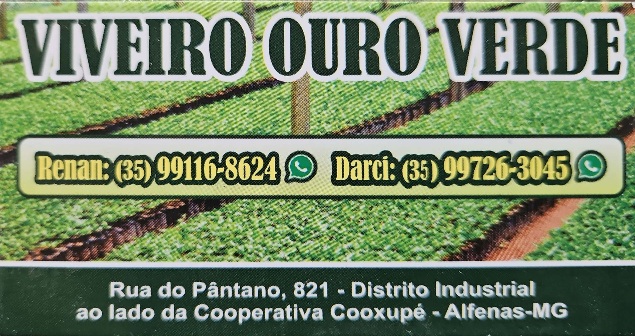 Viveiro Ouro Verde